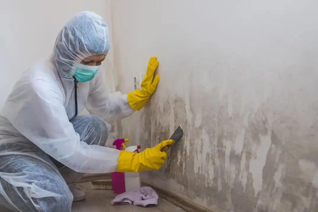 water damage restoration service Greenfield Park